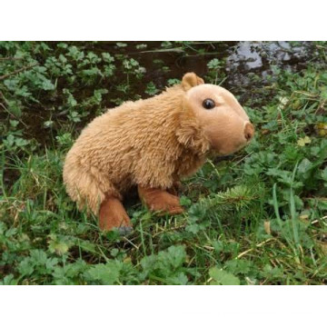 Jouet en peluche personnalisé à capybara en peluche; SGS / BV audit d&#39;usine